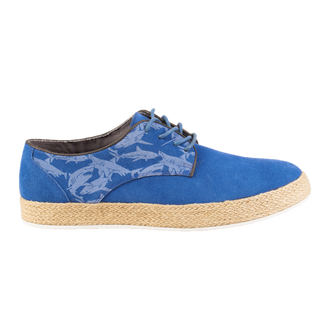 Blue Shoes