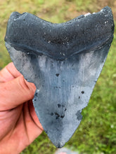 Load image into Gallery viewer, Megalodon Shark Tooth / #6